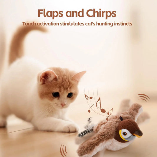 Interactive Cat Toys